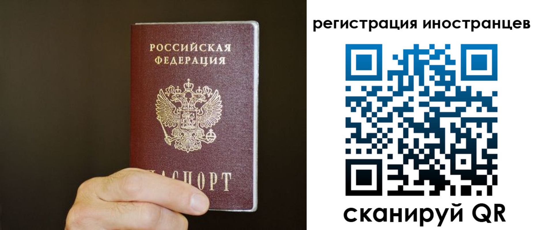 прописка в Кингисеппе